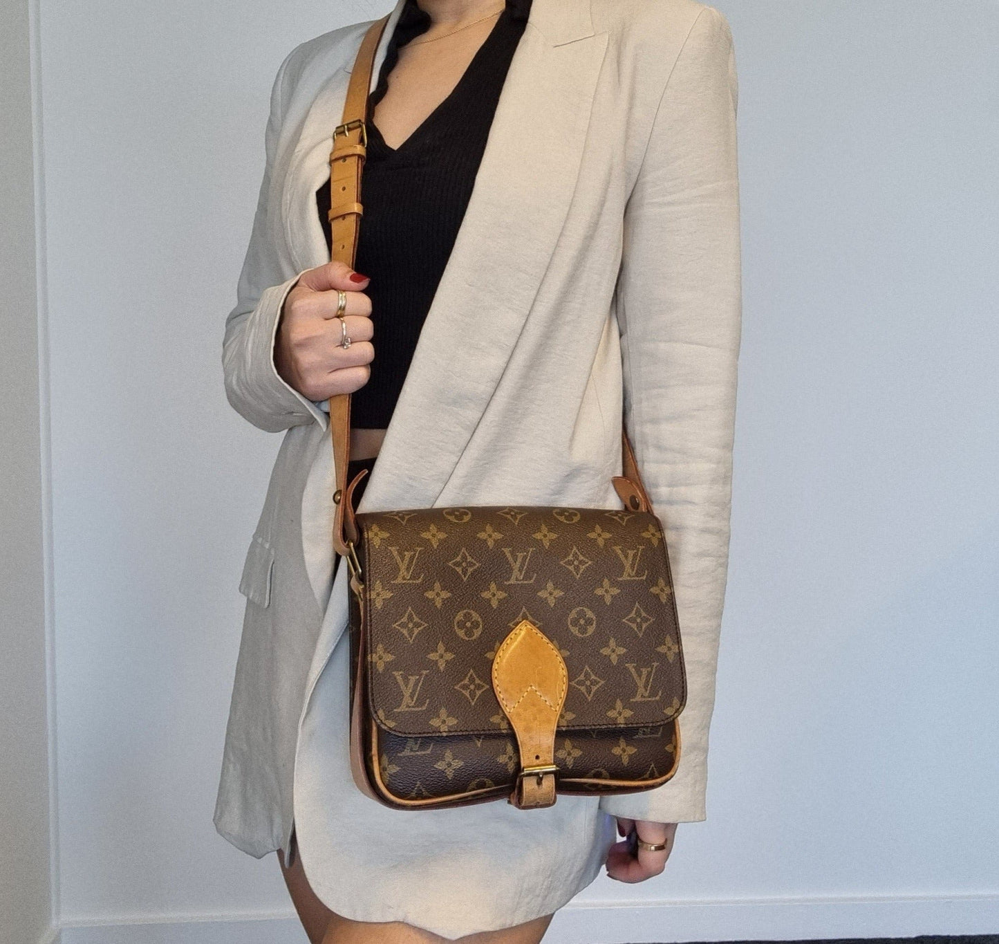 Louis Vuitton Cartouchiere Monogram MM